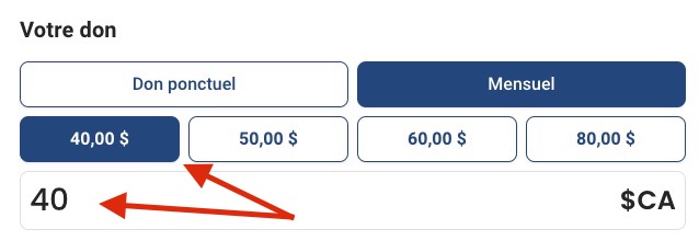 Vous pouvez choisir un montant suggéré Ou inscrire votre montant personnel.